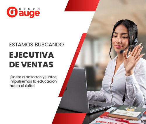 Ejecutiva de Ventas